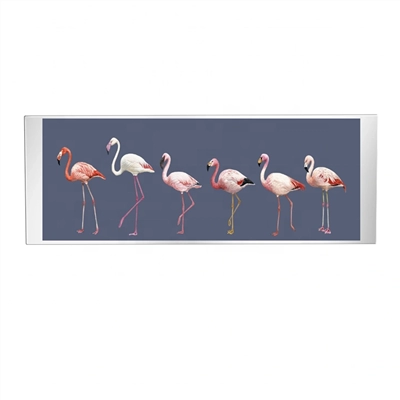 TFT-дисплей 6.86″ 480×1280 с MIPI-интерфейсом